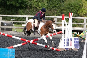 Class 3 -  Fences not above 2'3